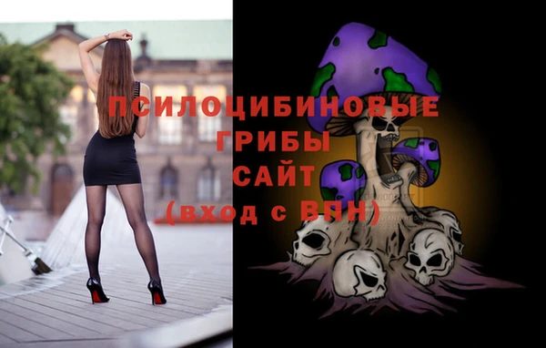 apvp Магадан