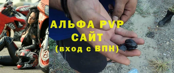 ECSTASY Магас